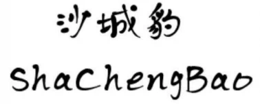 Донггуан Схацхенгбао Луггаге Цо., Лтд